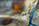 "Nebula” 11 x 14 matted/framed or 16 x 24 framed $300 