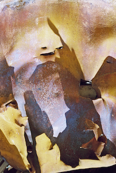 “Imp” 14 x 11 matted/framed or 24 x 16 framed $300