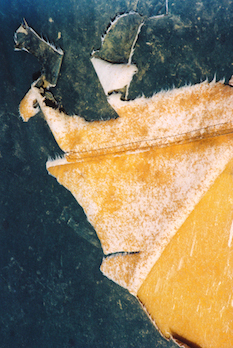 “Insectosaur” 11 x 14 matted/framed or 16 x 24 framed $300 