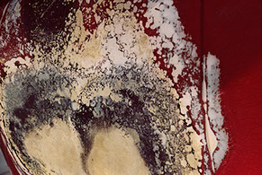 “Outlander” 11 x 14 matted/framed or 16 x 24 framed $300 