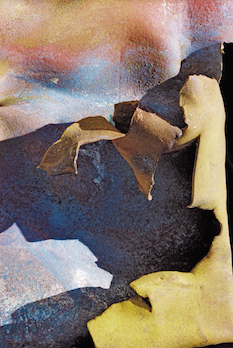 “Peekaboo” 11 x 14 matted/framed or 16 x 24 framed $300 